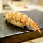 あま木 - ［2017/07］寿司⑨ 車海老の握り 赤酢