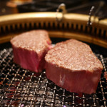 SATOブリアン - シャトーブリアン