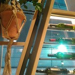 ポタ パスタ 渋谷道玄坂店 - 