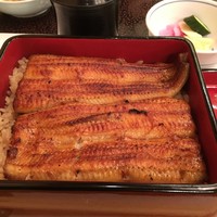 鰻割烹 伊豆栄 本店 - 