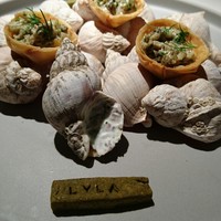 ライラ - 