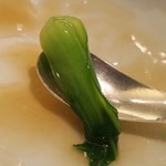 赤坂璃宮 - ふかひれの姿煮喰らう