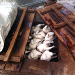 栗の岳温泉　南洲館 - 地獄で蒸されている鶏たち