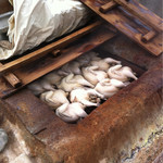 栗の岳温泉　南洲館 - なんとも絵になるなぁ