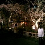 ぎをん縄手 とり安 - 2005年3月27日、20:28:34撮影　祇園はステキです。