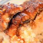 鰻の蓬屋 - 肉厚ではない