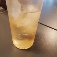 Di-Shiner - 