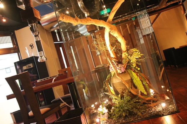 Yakiniku Trattoria Nishiyama photo 5