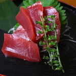 日本晴ルTOKOTON - 築地直送  やっぱりマグロは美味し！！
