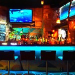 Bar & Kitchen Fellow