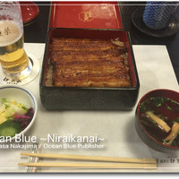 鰻割烹 伊豆栄 本店 - 