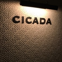 CICADA - 