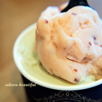 ジェラテリア ジーナ - 