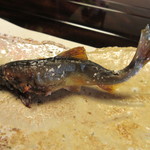 比良山荘 - 頭から食べられる若鮎