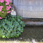 比良山荘 - 清流の流れる店前、そっと見ている狸さん…