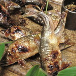 比良山荘 - 一人三尾の若鮎の塩焼き