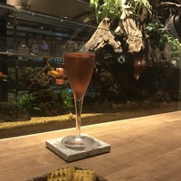円居 神楽坂別邸 - 生でいただけるゴールドラッシュに敢えて炙りを入れていただくアミューズ