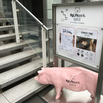 HyLife Pork TABLE - 