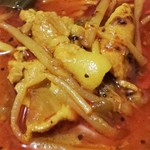 SPICY CURRY 魯珈 - 限定カレー（ランペとカラピンチャのWハーブ香る！豚ともやしのスリランカ風カレー）のアップ