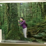 Okonomiyaki Nagoya - 