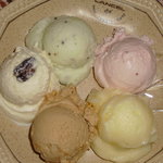 カフェeジェラート モアレ - ジェラート&スペリオル（５点盛り）