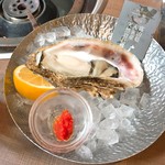 入善産天然岩牡蠣(600円)