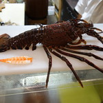 鮨松榮 - 伊勢海老 vs 車海老