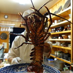 鮨松榮 - 伊勢海老