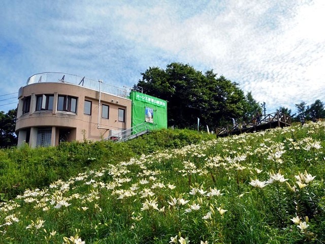 山頂カフェ シーガル - 銭函（カフェ）の写真