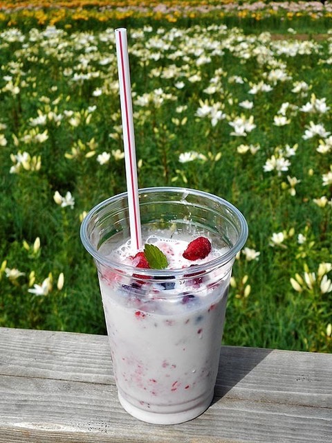 山頂カフェ シーガル - 銭函（カフェ）の写真