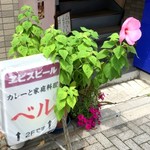 カレーと食菜の店　ベル - 