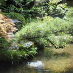 うかい竹亭 - どの部屋からも池が見える