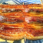 小島屋 - 蒲焼・大