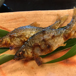 菊乃井 - 鮎塩焼き