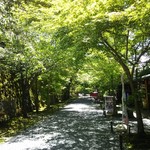 比良山荘 - 青紅葉がキレイ(*´-`)