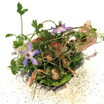 ラ・ヴァガボンド - 