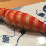 一心鮨 光洋 - 美しい…