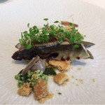 ポンドールイノ - 