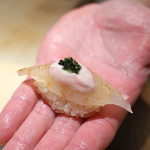 寿しの吉乃 - カワハギ 昆布〆 肝のソース