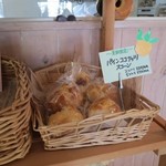 C'est joli - 夏季限定 パインココナッツスコーン