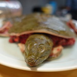 柳家錦 - 2017.08 ベストショット：笑