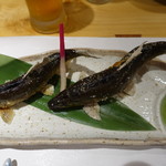 柳家錦 - 2017.08 和良川の天然アユ