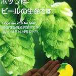 アサヒビール - 