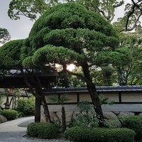 ザ・ガーデン・プレイス 蘇州園 - 
