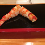 龍文支店 - 車エビ。愛知県の県魚です。