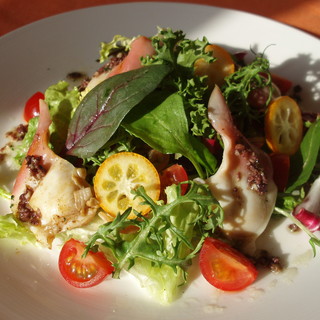 オステリア イル ペッシェ_0