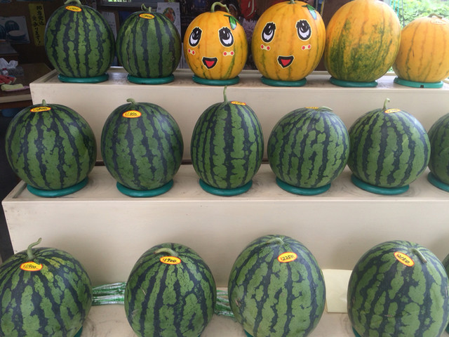 おくやま農園 袖崎店 &ndash; 山形県の自然が育む新鮮野菜と手作り料理