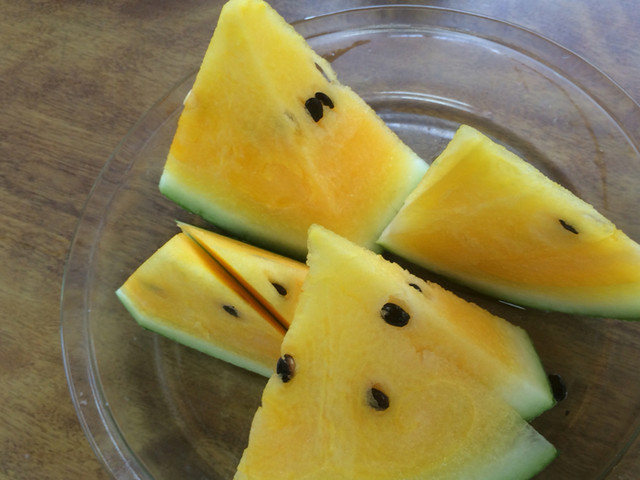 おくやま農園 - 袖崎（その他）の写真