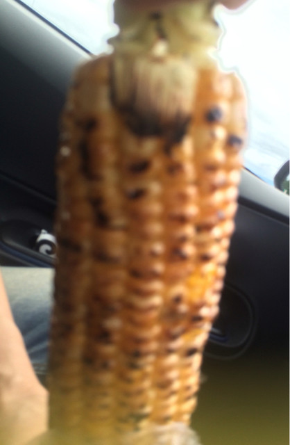 おくやま農園 - 袖崎（その他）の写真