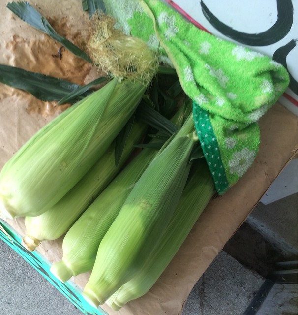 おくやま農園 - 袖崎（その他）の写真